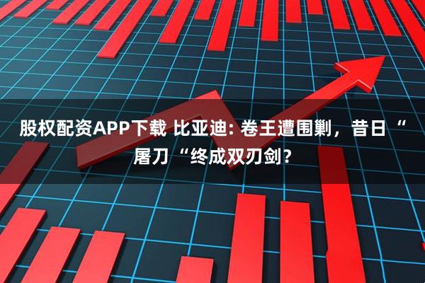 股權(quán)配資APP下載 比亞迪: 卷王遭圍剿，昔日 “屠刀 “終成雙刃劍？