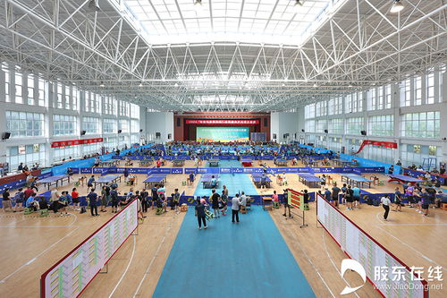 核力乒乓，共贏綠色未來(lái) 2024核能科普宣傳杯全民健身乒乓球大獎(jiǎng)賽圓滿落幕