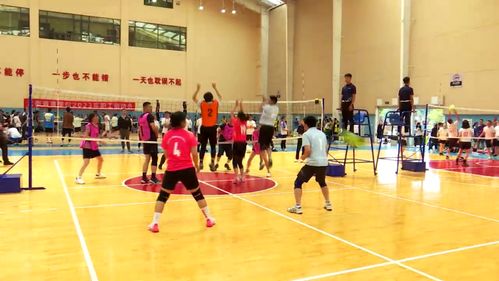 科技賦能，全民健身 免費(fèi)開放引領(lǐng)健康新時(shí)代