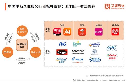 智引未來(lái) 2021年中國(guó)電商領(lǐng)域企業(yè)服務(wù)行業(yè)信息咨詢服務(wù)深度洞察