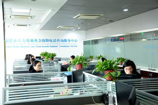 智慧人社，智慧服務(wù) 宿遷舉辦12333全國(guó)統(tǒng)一咨詢?nèi)栈顒?dòng)，打造暖心便民信息咨詢服務(wù)